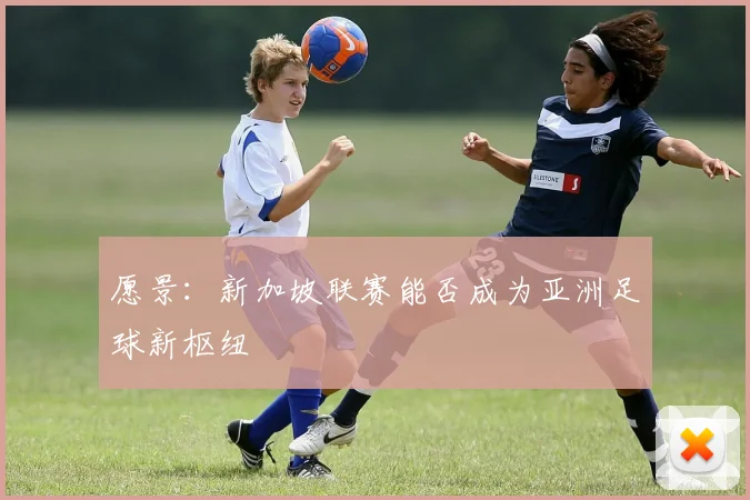 愿景：新加坡联赛能否成为亚洲足球新枢纽