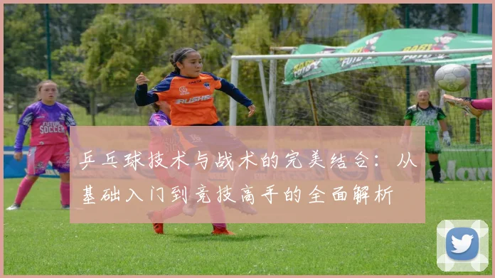 乒乓球技术与战术的完美结合：从基础入门到竞技高手的全面解析