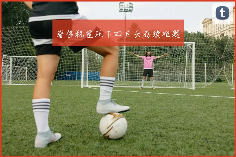奢侈税重压下四巨头存续难题
