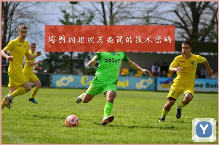 塔图姆进攻万花筒的技术密码