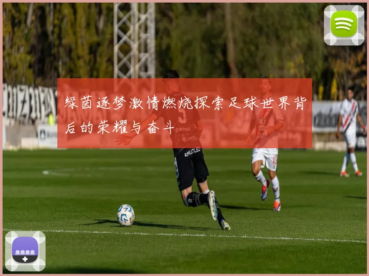 绿茵逐梦激情燃烧探索足球世界背后的荣耀与奋斗