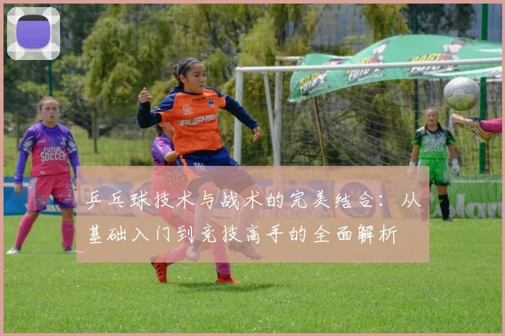 乒乓球技术与战术的完美结合：从基础入门到竞技高手的全面解析