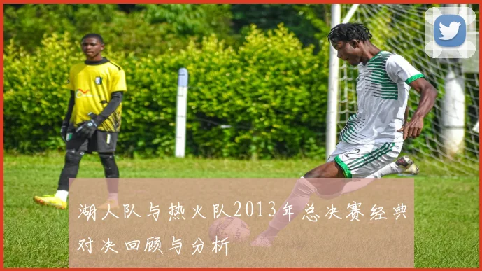 湖人队与热火队2013年总决赛经典对决回顾与分析