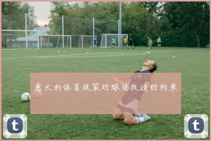 意大利体育政策对球场改造的约束