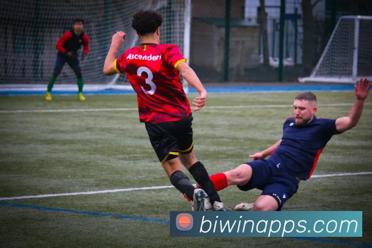 biwin平台生态图